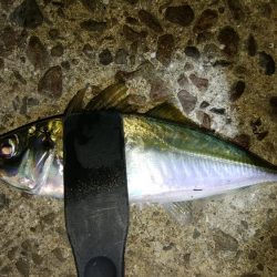 立ち位置で天国と地獄